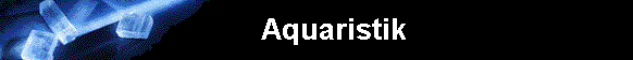  Aquaristik                          