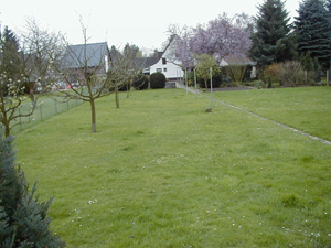 010409