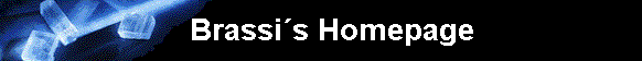 Brassis Homepage                   